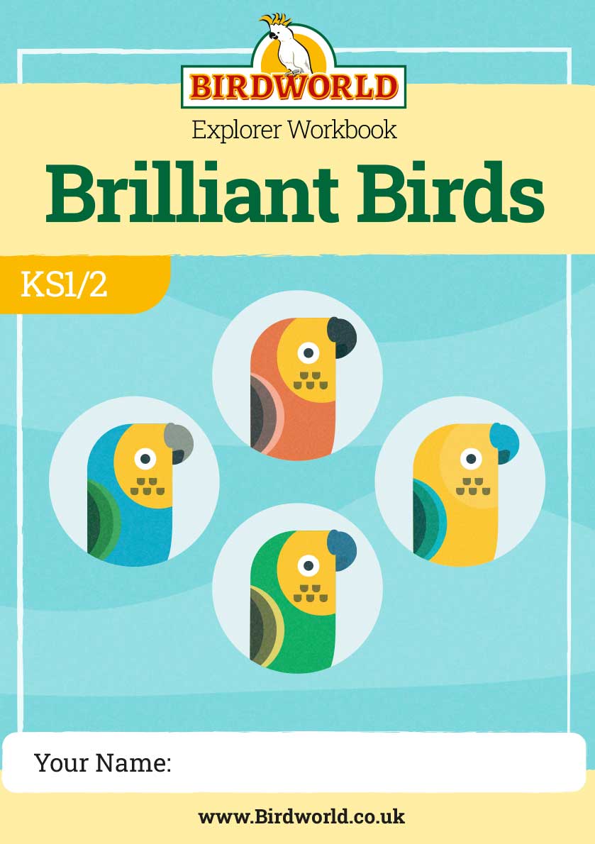 brilliant-birds-workbook