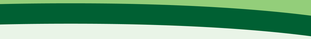 section line