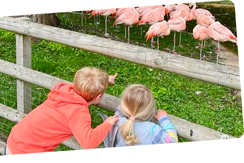 kids playing