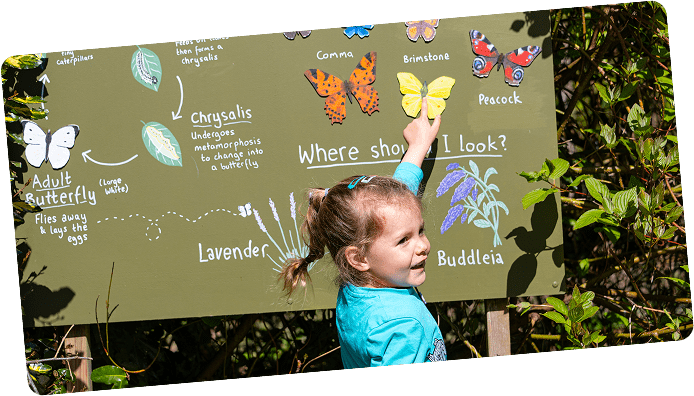 Wildlife Garden