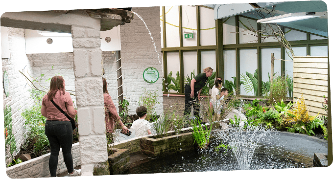 Birdworld outdoors